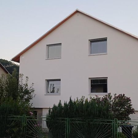 Apartmanovy Dum Terka Zázrivá Εξωτερικό φωτογραφία